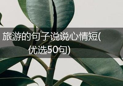 旅游的句子说说心情短(优选50句)