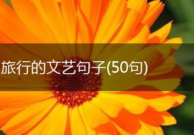 旅行的文艺句子(50句)
