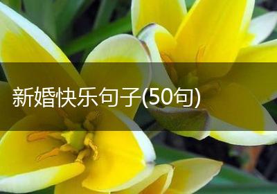 新婚快乐句子(50句)