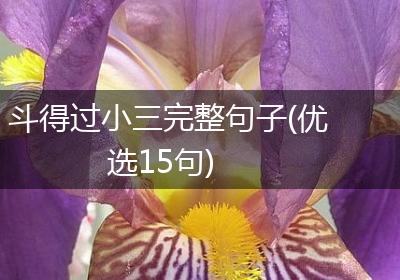 斗得过小三完整句子(优选15句)