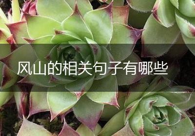 风山的相关句子有哪些