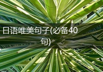 日语唯美句子(必备40句)