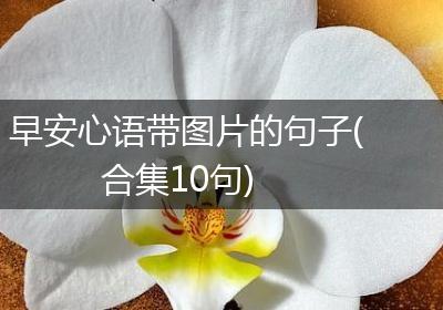 早安心语带图片的句子(合集10句)
