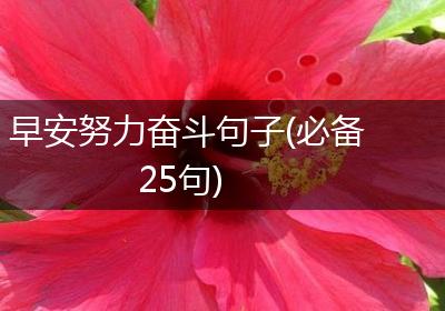 早安努力奋斗句子(必备25句)