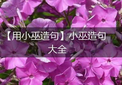 【用小巫造句】小巫造句大全