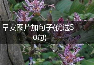 早安图片加句子(优选50句)