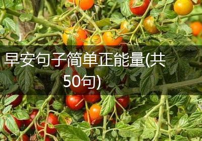 早安句子简单正能量(共50句)