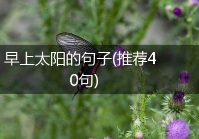 早上太阳的句子(推荐40句)