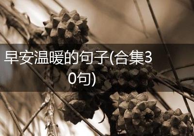 早安温暖的句子(合集30句)