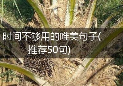 时间不够用的唯美句子(推荐50句)