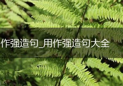 作强造句_用作强造句大全