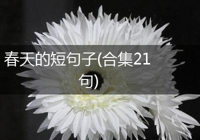 春天的短句子(合集21句)