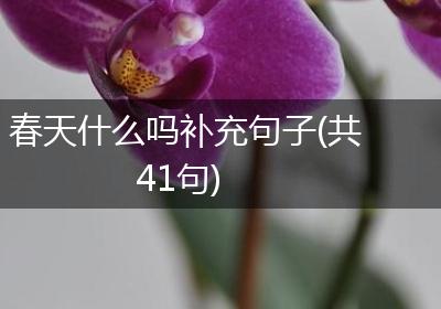 春天什么吗补充句子(共41句)