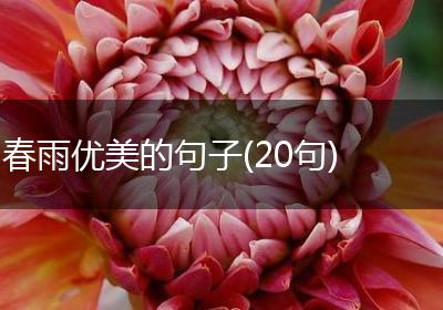春雨优美的句子(20句)