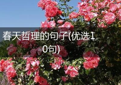 春天哲理的句子(优选10句)