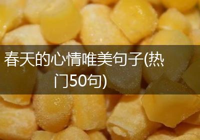 春天的心情唯美句子(热门50句)