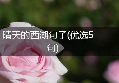 晴天的西湖句子(优选5句)