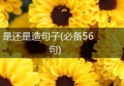 是还是造句子(必备56句)