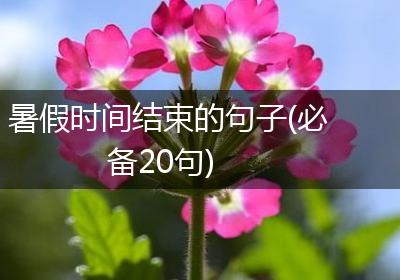 暑假时间结束的句子(必备20句)