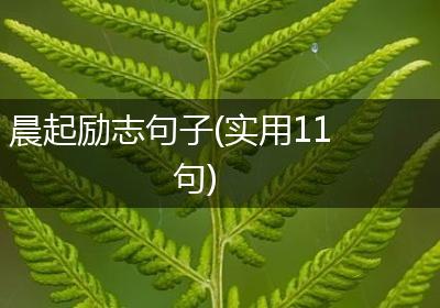 晨起励志句子(实用11句)