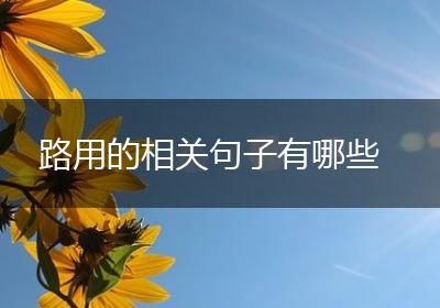 路用的相关句子有哪些