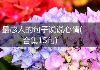 最感人的句子说说心情(合集15句)