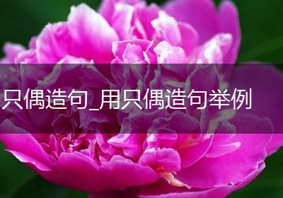 只偶造句_用只偶造句举例