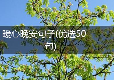 暖心晚安句子(优选50句)