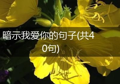 暗示我爱你的句子(共40句)