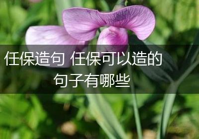 任保造句 任保可以造的句子有哪些