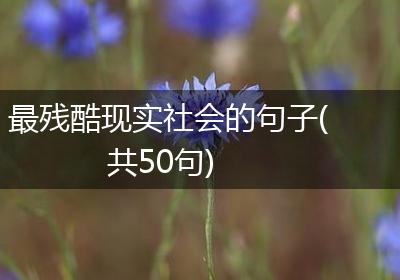 最残酷现实社会的句子(共50句)
