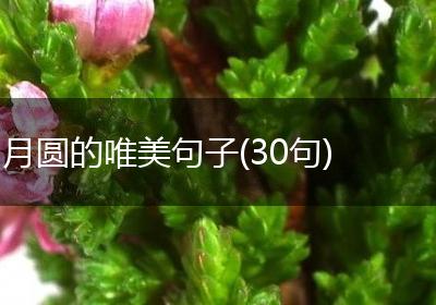 月圆的唯美句子(30句)