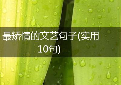 最矫情的文艺句子(实用10句)