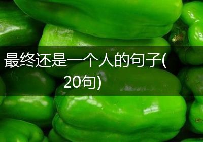 最终还是一个人的句子(20句)