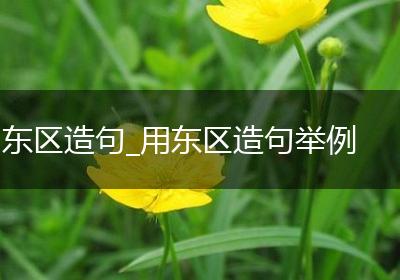 东区造句_用东区造句举例