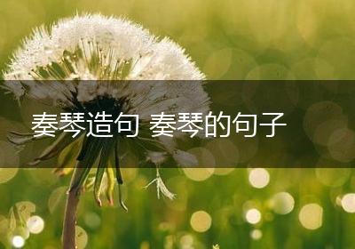 奏琴造句 奏琴的句子