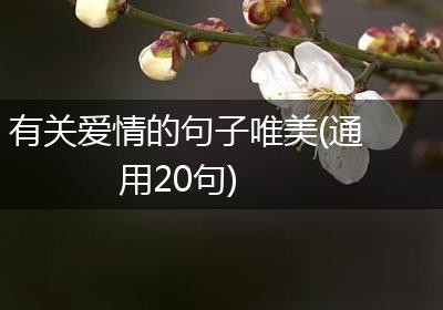 有关爱情的句子唯美(通用20句)