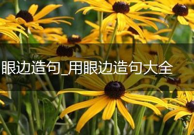 眼边造句_用眼边造句大全