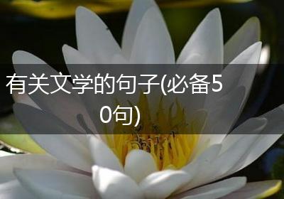 有关文学的句子(必备50句)