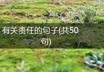 有关责任的句子(共50句)
