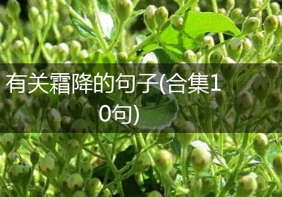 有关霜降的句子(合集10句)