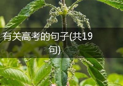 有关高考的句子(共19句)