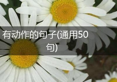 有动作的句子(通用50句)