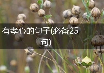 有孝心的句子(必备25句)