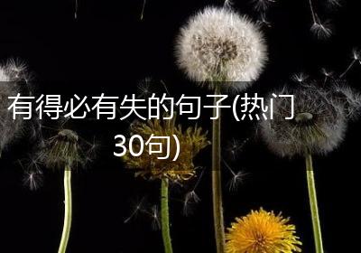 有得必有失的句子(热门30句)
