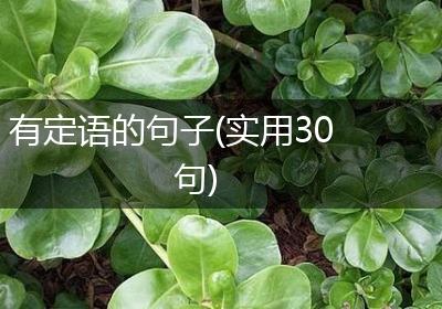 有定语的句子(实用30句)