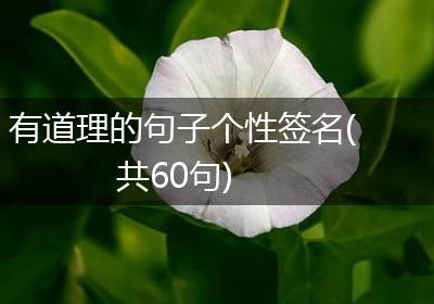有道理的句子个性签名(共60句)