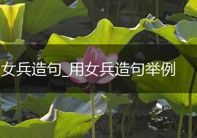 女兵造句_用女兵造句举例