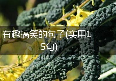 有趣搞笑的句子(实用15句)