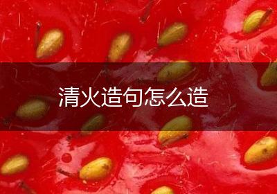 清火造句怎么造